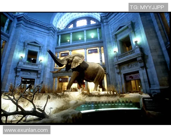 布莱克尼的魅力探秘与历史文化交融之旅