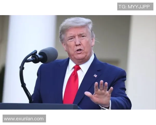 威尔森与霍尔帝的巅峰对决谁将赢得最终荣耀与胜利